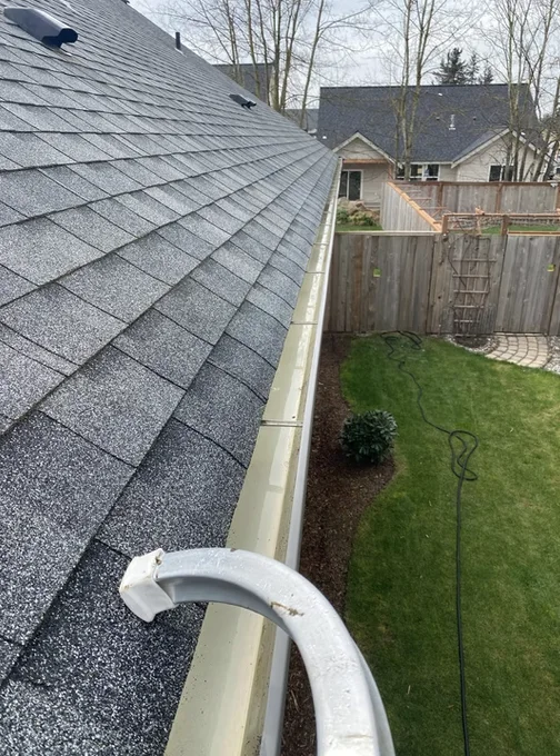 Clean gutter along an asphalt shingle roof after a Bellingham gutter cleaning