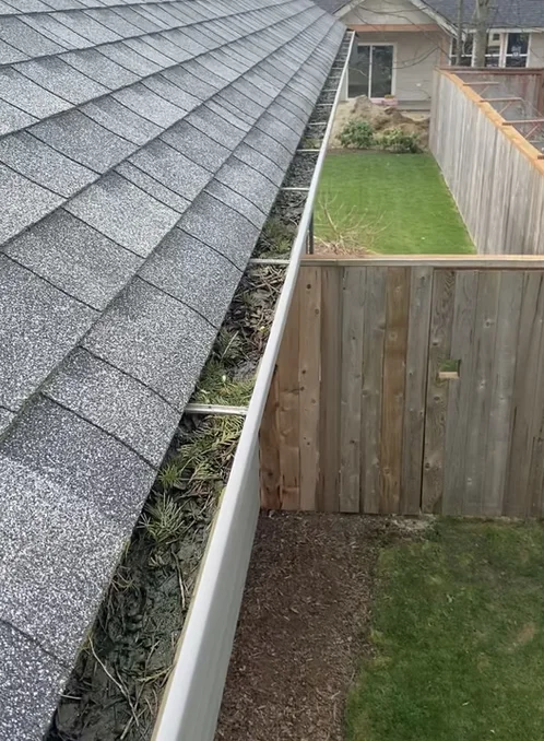 Gutter clogged with moss and debris before cleaning