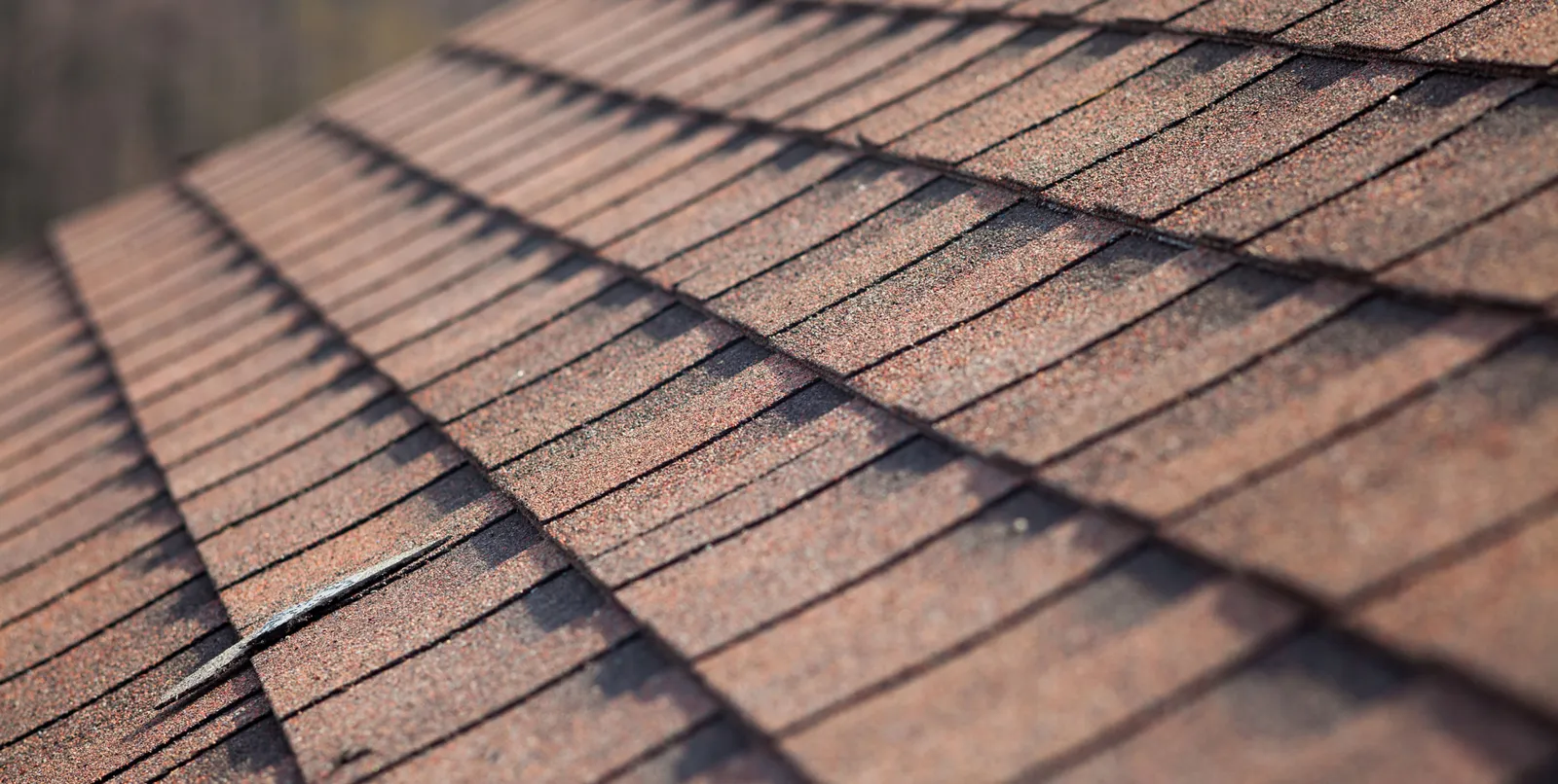 Close-up of asphalt roof shingles